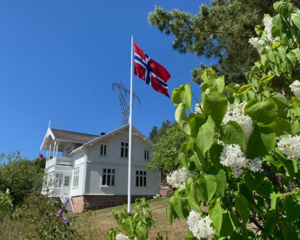 Bilde av en syrinbusk og et norsk flagg på en flaggstang av glassfiber med vippebeslag