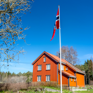 Flaggstang med innvendig line og vippebeslag