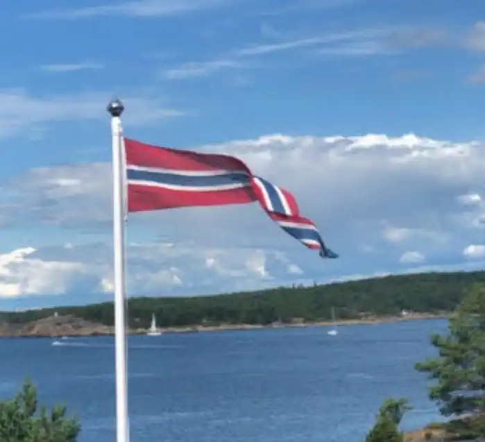 Flott norsk vimpel heist i flaggstang med norsk landskap bak